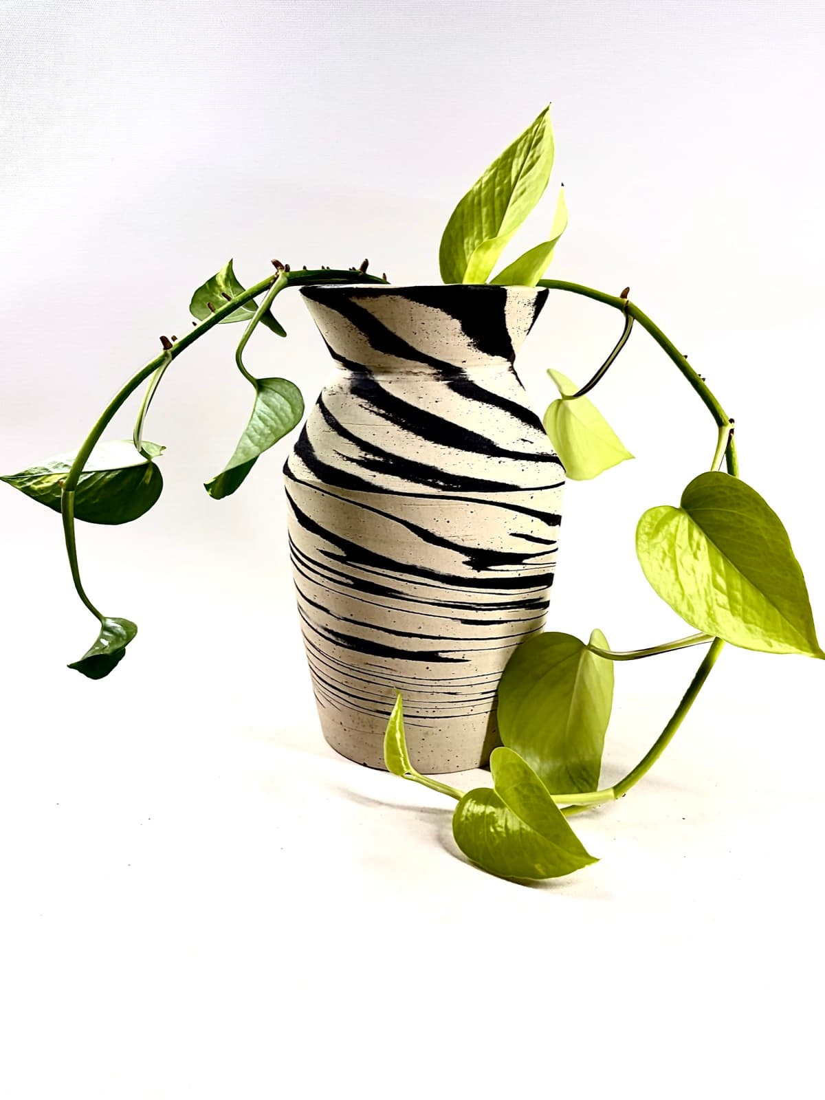 A hand-thrown sgraffito vase from Palm and Potter with pothos vines around it